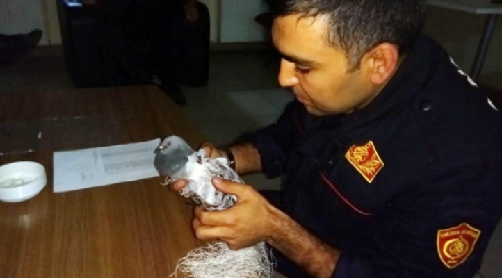 Ankara'da  Güvercinin İmdadına İtfaiye Yetişti