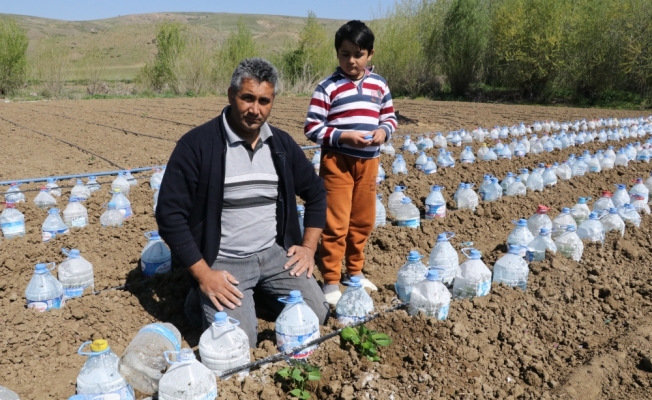 Zirai don Yozgat'ta meyve ve sebzelere zarar verdi