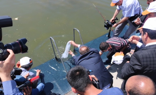 Mogan Gölü'ne 15 bin yavru balık bırakıldı