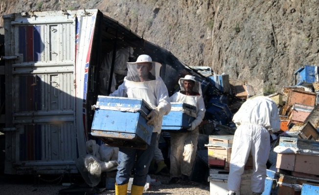 Sivas'ta devrilen kamyondaki arı kovanları karayoluna saçıldı