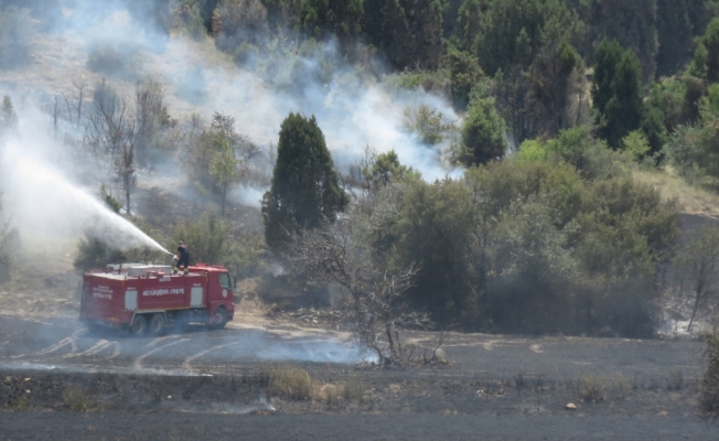 Beyşehir'de tarım arazisi ve orman yangını