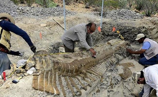 Çin'de 174 milyon yıllık dinozor fosili bulundu