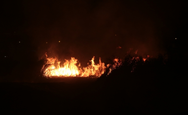 Mogan Gölü kıyısındaki sazlık alanda yangın