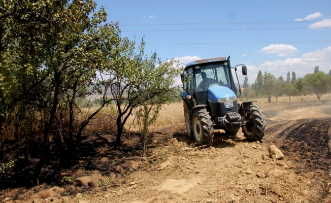 Seydişehir'de buğday tarlası yandı