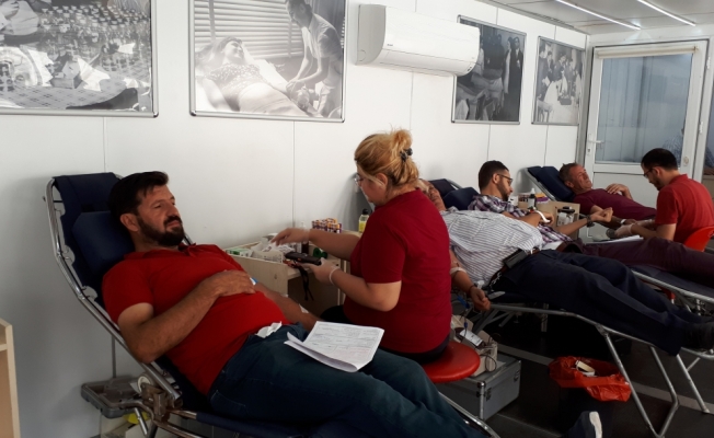 Beypazarı'nda kan bağışı kampanyası