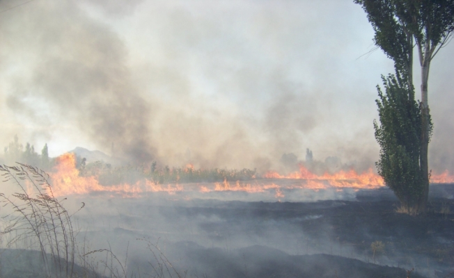 Seydişehir’de anız yangını