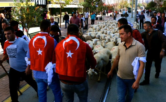 Çobanlar koyun sürüsüyle caddelerden geçti