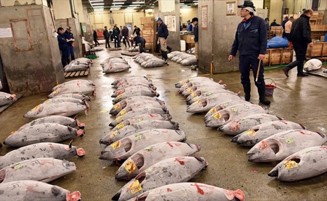 Dünyanın en büyük balık pazarı Tsukiji tarihi mekanına veda etti