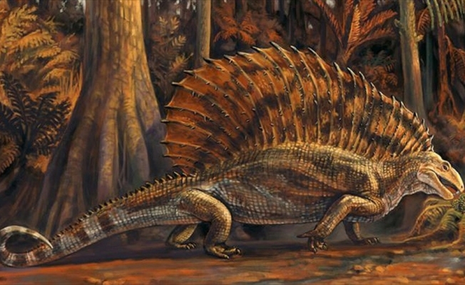 ABD'de 300 milyon yıllık otobur sürüngen fosili bulundu