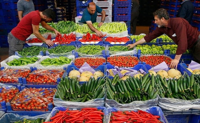 Egeli yaş meyve sebze ihracatçılarının milyar dolar hedefi