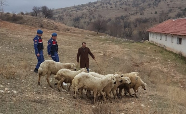 Yozgat'ta hırsızlık şüphelisi 6 kişi tutuklandı