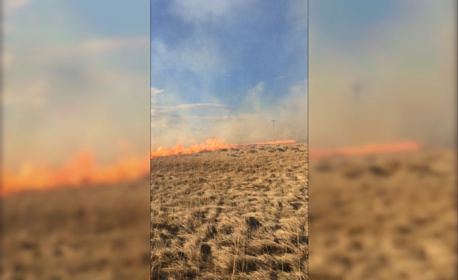 Ulaş'ta arazi yangını