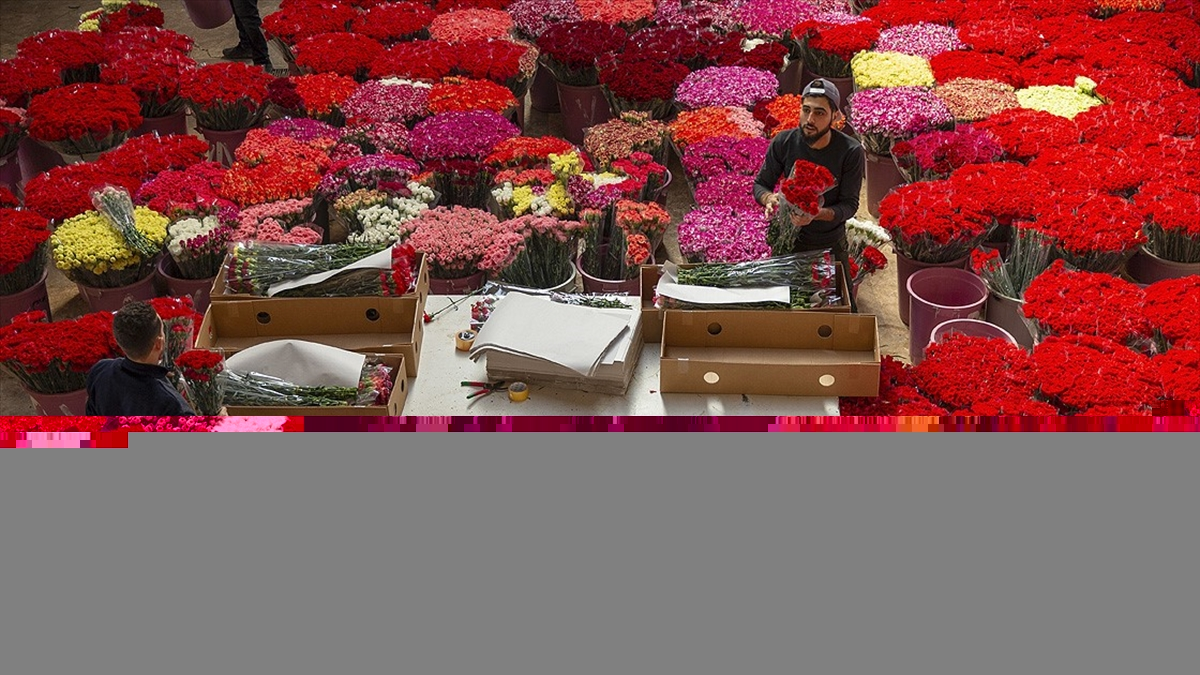 Türkiye'den gönderilen çiçekler 20 ülkenin kadınlarını sevindirecek