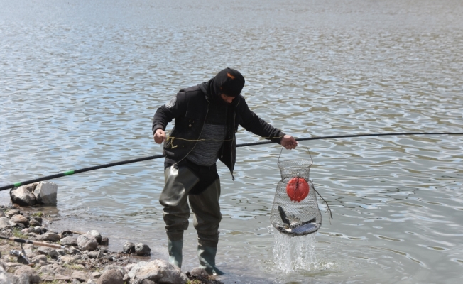 Kafesten kaçan balıklar amatör balıkçıları sevindirdi