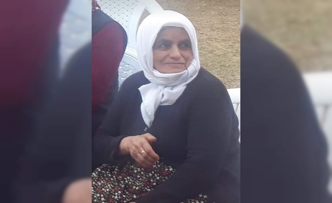 Sivas'ta yıldırım isabet eden kadın hayatını kaybetti