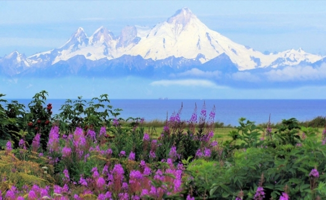 Alaska'da tüm zamanların sıcaklık rekoru