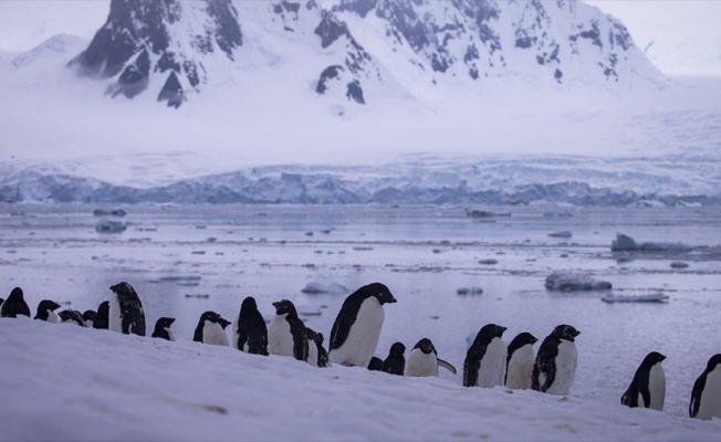 'Sanayileşmenin etkilerinden Antarktika da payını aldı'