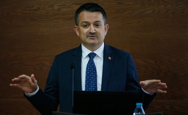 Tarım ve Orman Bakanı Pakdemirli: Türkiye'nin daha hızlı koşması gerekiyor