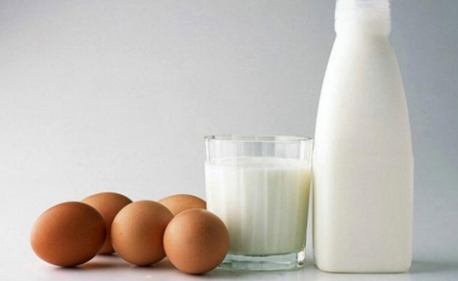 Süt üretimi geriledi, yumurta üretimi arttı