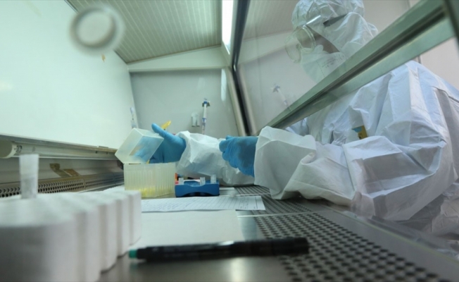 Ankara Üniversitesi koronavirüs aşı ve tanı kiti projesi için kolları sıvadı