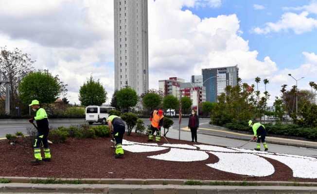 Ankara Büyükşehir Belediyesi, su tasarrufu için “kuru peyzaj“ uygulaması başlattı