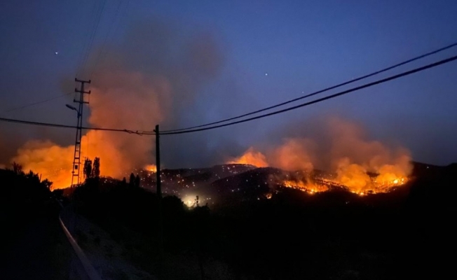 Ankara'daki orman yangını, kontrol altına alınmaya çalışılıyor