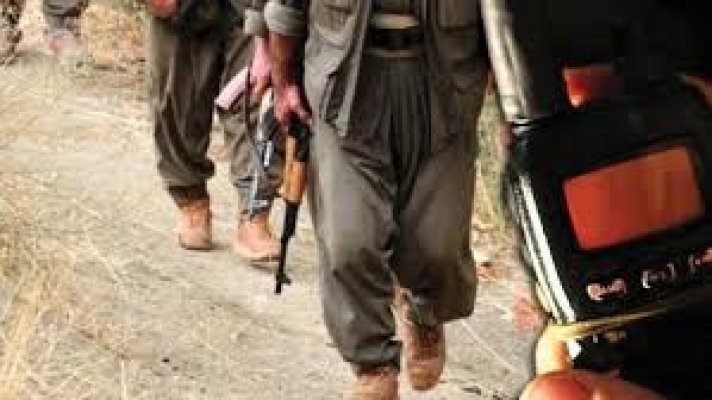 HDP'li Leyla Güven'in PKK'ya desteği, teröristlerin sözde yöneticilere gönderdiği raporlara yansıdı