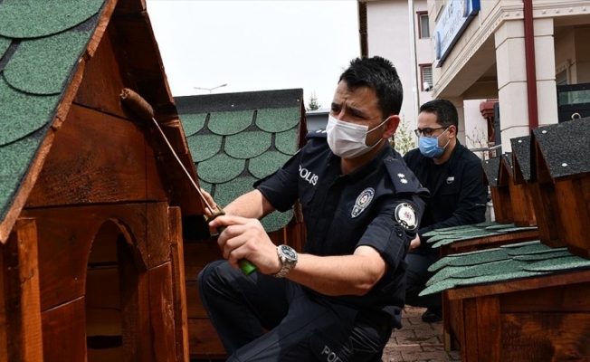 Gönüllü polisler devletin şefkat elini 'sevimli dostlara' uzattı