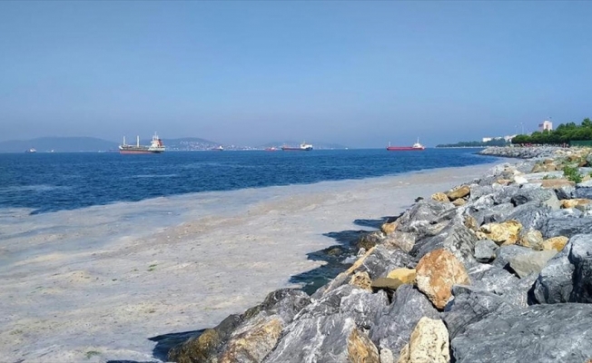 Bakan Kurum: Marmara Denizi'nden 7 günde 2 bin 684 metreküp müsilaj temizlendi