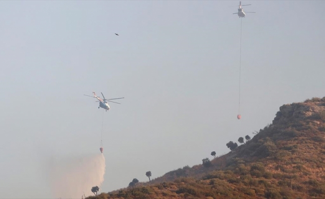 Muğla'da devam eden 6 yangına havadan ve karadan müdahale ediliyor