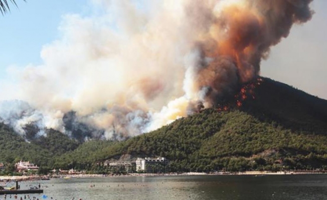 Türkiye'deki orman yangınları sonrası yeni tehlike!