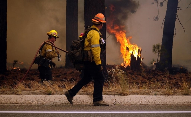 California'da orman yangını otoyola sıçradı