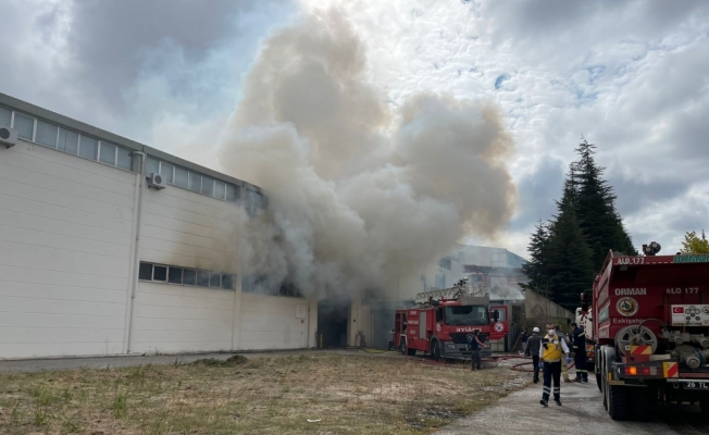GÜNCELLEME - Eskişehir'de ambalaj fabrikasında çıkan yangın kontrol altına alındı