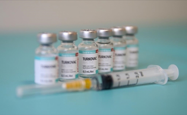 5 soruda yerli aşı TURKOVAC