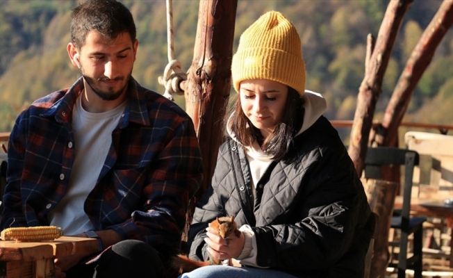 Kafe işletmecisi çiftin ormanda bulduğu sincap aileden biri oldu