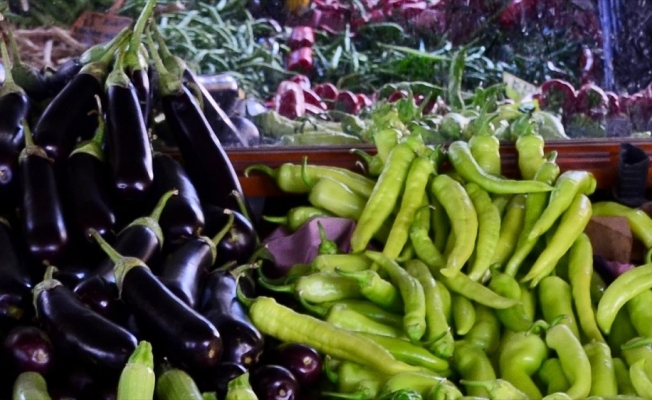 Kasımda fiyatı en fazla artan ürün patlıcan, en çok düşen karnabahar oldu