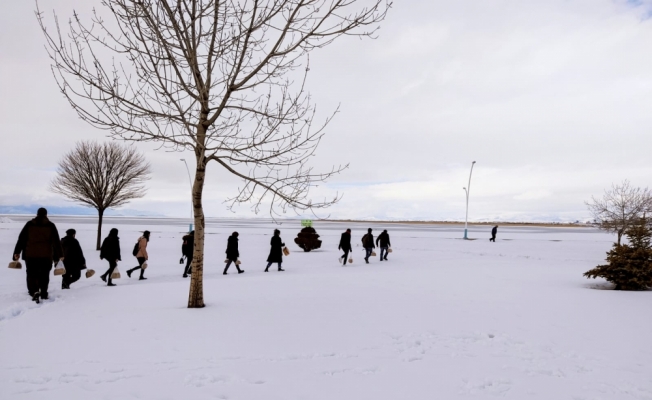 Beyşehir'de üniversite öğrencileri göl kıyısındaki su kuşlarını yemledi