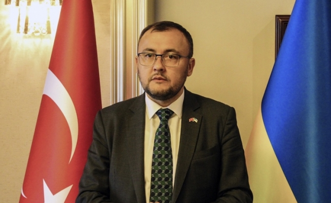 Ukrayna Ankara Büyükelçisi, Türkiye'nin deseteğini istedi