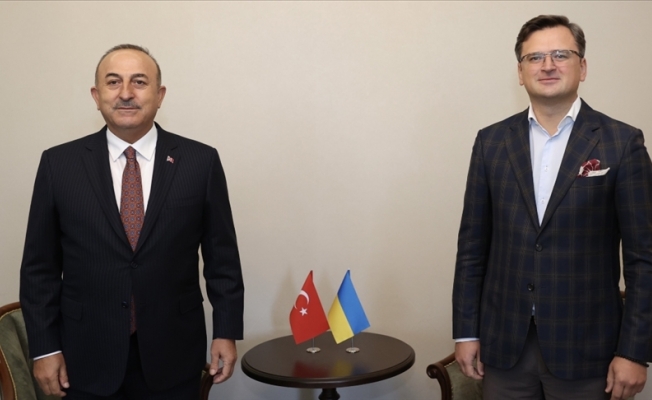 Mevlüt Çavuşoğlu, Ukraynalı mevkidaşı ile görüştü