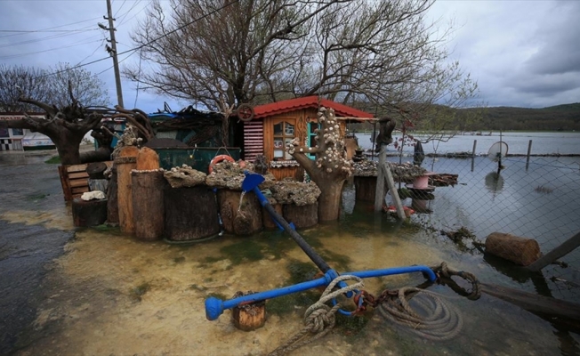 Kırklareli'nde İstanbul'a su sağlayan Kazandere Barajı taştı