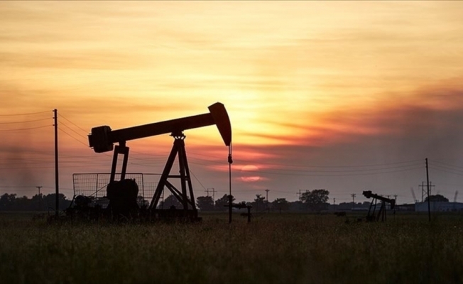 OPEC'in petrol üretimi martta arttı