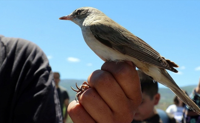 Aras Kuş Cenneti'nde 16 yılda 313 kuş türü kayıt altına alındı