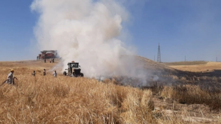 Eskişehir'de 30 dönüm arpa ekili alan yandı