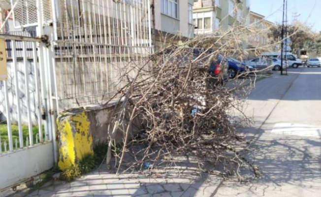 Keçiören Belediyesi kesilen ağaçları topluyor