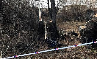 Kestiği ağaç üzerine devrilen kişi hayatını kaybetti