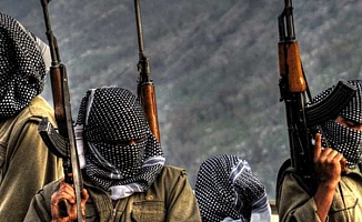 Kırmızı listede aranan PKK'lı öldürüldü