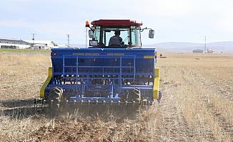 Toprak işlemesiz tarım tekniği çiftçiye tasarruf sağlıyor