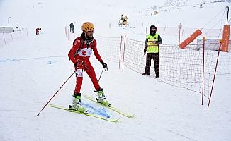 Dağ Kayağı Türkiye Şampiyonası