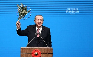 Cumhurbaşkanı Erdoğan tek tek açıkladı! Çiftçilere müjde üstüne müjde