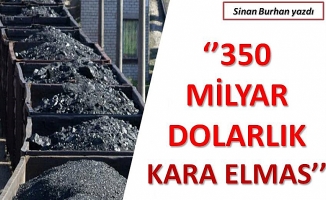 Sinan Burhan yazdı: ''350 milyar dolarlık kara elmas...''